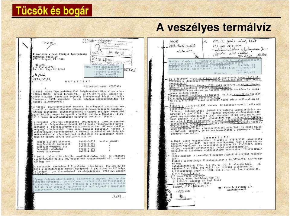 veszélyes
