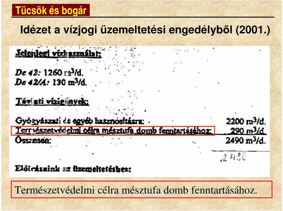 engedélyb l (2001.