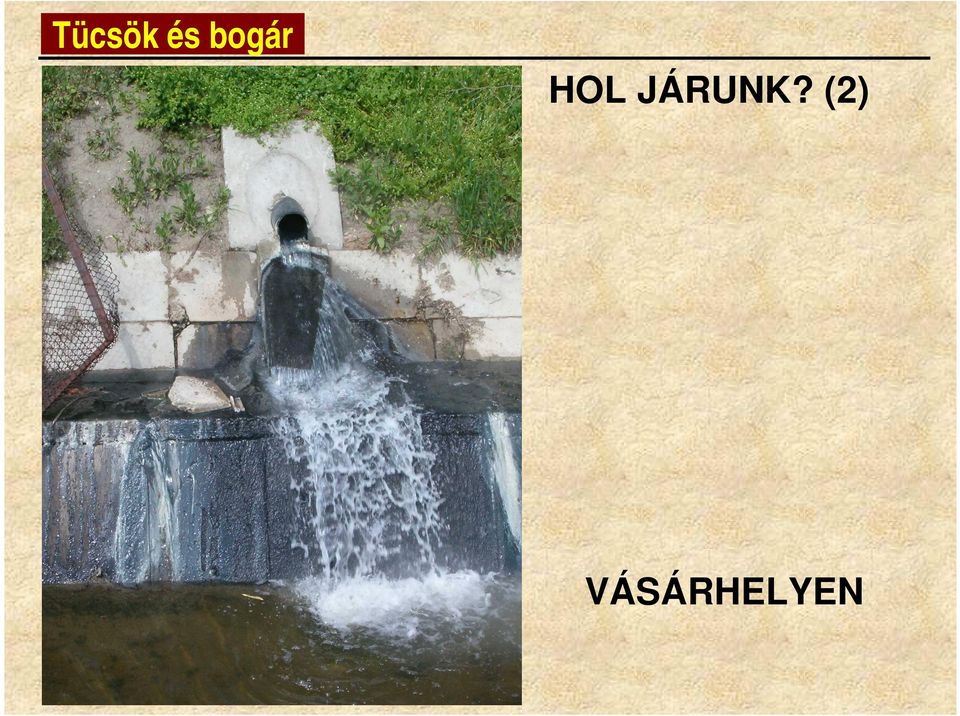 JÁRUNK?