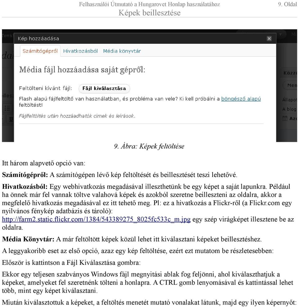 Például ha önnek már fel vannak töltve valahová képek és azokból szeretne beilleszteni az oldalra, akkor a megfelelő hivatkozás megadásával ez itt tehető meg.