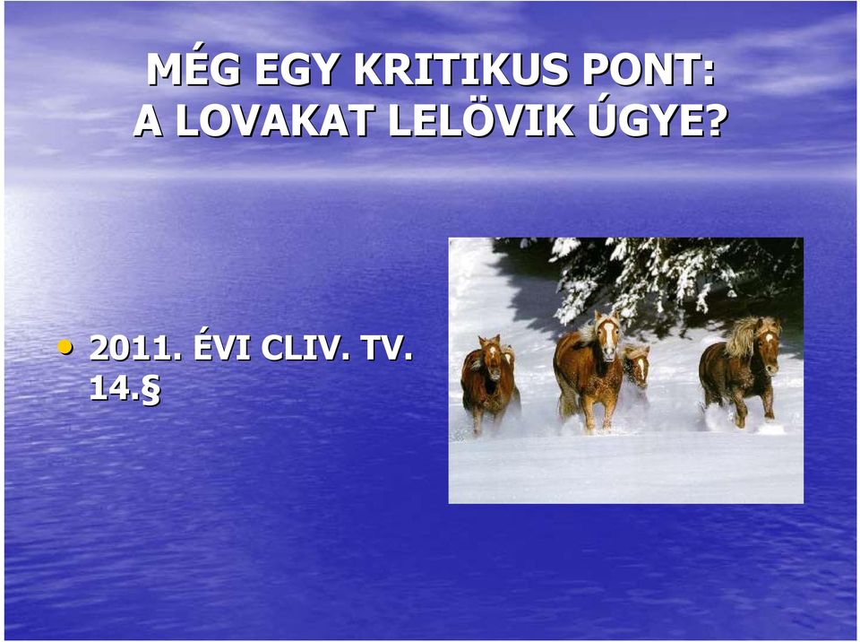 LOVAKAT LELÖVIK