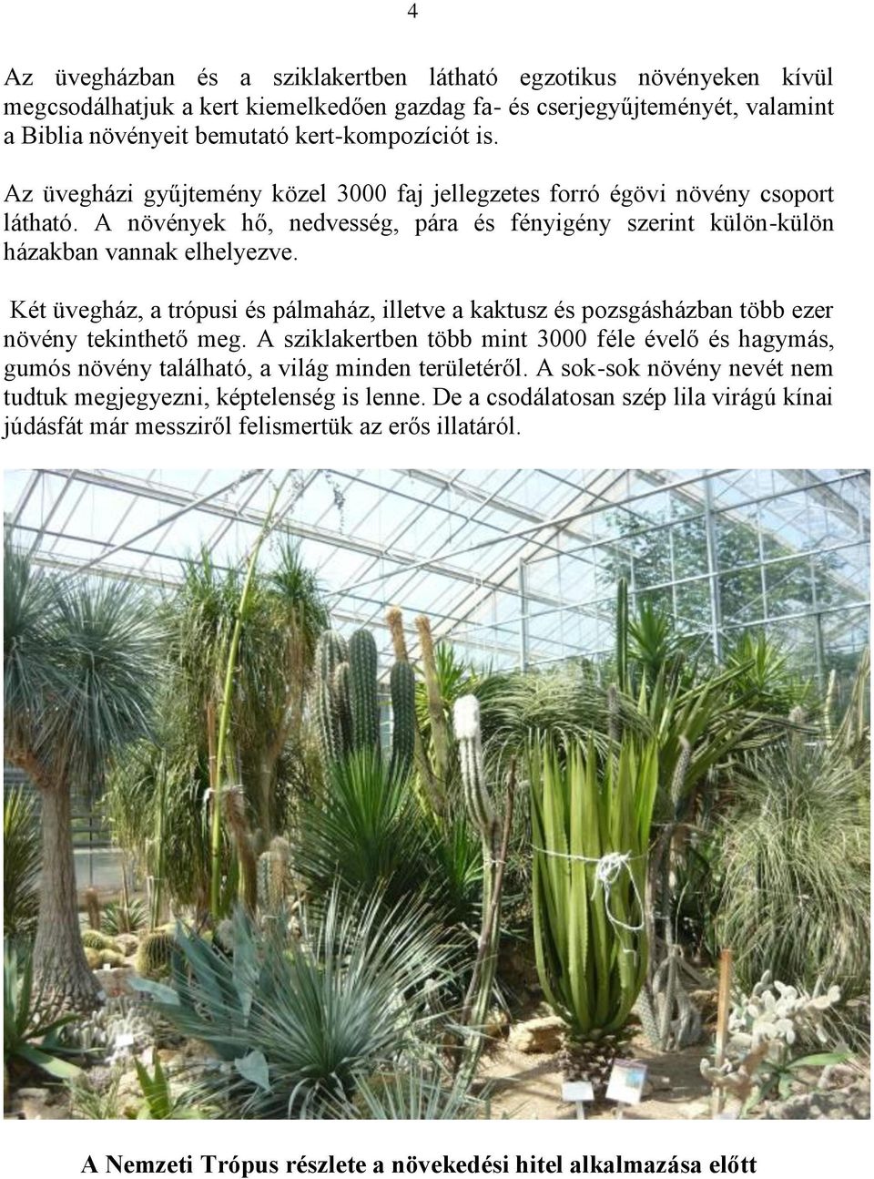 Két üvegház, a trópusi és pálmaház, illetve a kaktusz és pozsgásházban több ezer növény tekinthető meg.