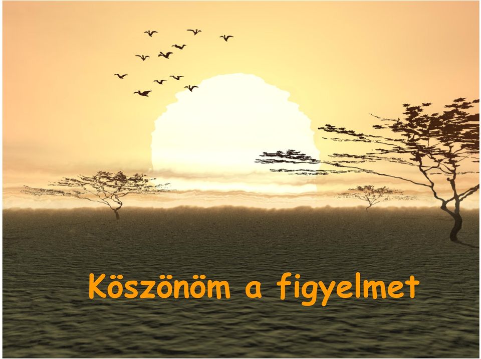 figyelmet