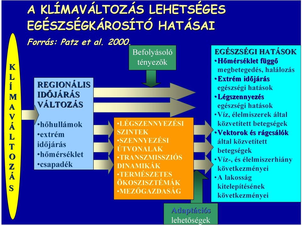 DINAMIKÁK TERMÉSZETES ÖKOSZISZTÉMÁK MEZŐGAZDASÁG EGÉSZSÉGI HATÁSOK Hőmérséklet függő megbetegedés, halálozás Extrém időjárás egészségi hatások Légszennyezés