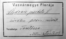 BaloghLajos.qxd 2005.02.16. 17:23 Page 27 BALOGH L., LÕKÖS L., PAPP B. és VASAS G.: Herbarium Waisbeckerianum. 1. Piers kriptogámjai BP 157.