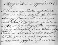 BaloghLajos.qxd 2005.02.16. 17:22 Page 5 BALOGH L., LÕKÖS L., PAPP B. és VASAS G.: Herbarium Waisbeckerianum. 1. Piers kriptogámjai 2. ábra.