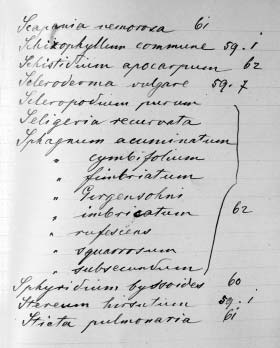 BaloghLajos.qxd 2005.02.16. 17:23 Page 7 BALOGH L., LÕKÖS L., PAPP B. és VASAS G.: Herbarium Waisbeckerianum. 1. Piers kriptogámjai 3.