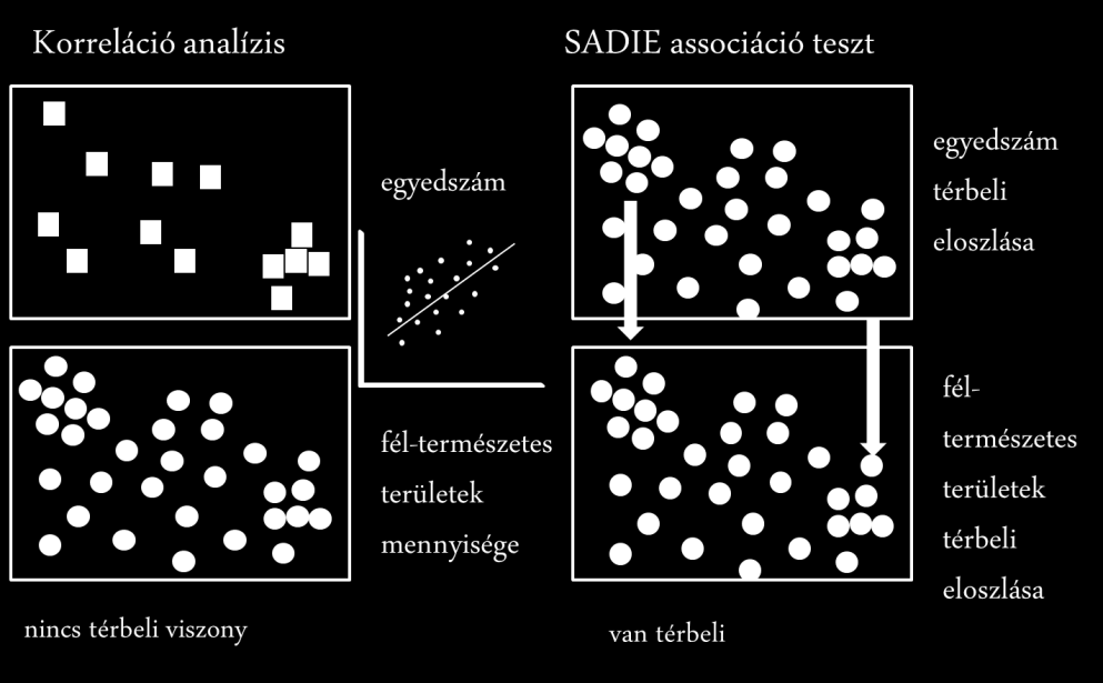 ábra 5. A populáció nagysága és az élőhelyek területaránya közötti kapcsolatot elemző térinformatikai módszerek összehasonlítása 4.2.