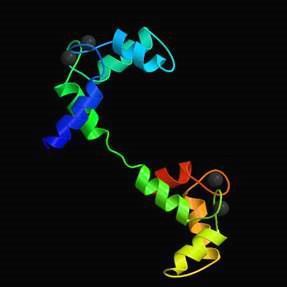 spinrendszerek azonosítása Egy ~17 kda globuláris fehérje 1 H-spektruma H 2 O/D 2 O 9/1, T=300K, c