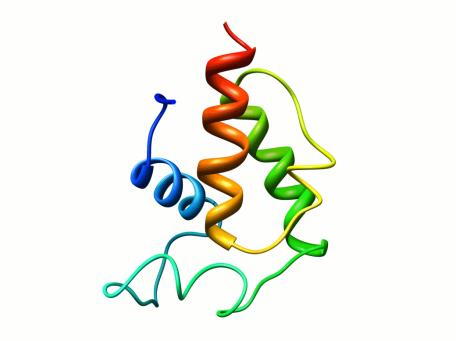 Az ERD-14 egy szerkezetnélküli fehérje: lombiktól az