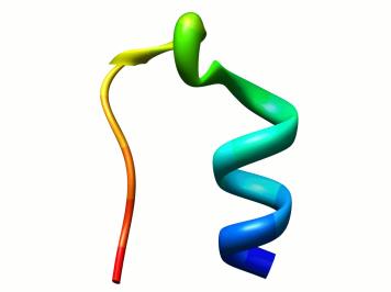 A molekuláris mozgás időskálái hurkok és kanyarok záródása 0.1ms 10ms másodlagos szerkezeti elemek 10ns 1ms feltekeredés 1ms 1h H/D R ex Rot. Dif.