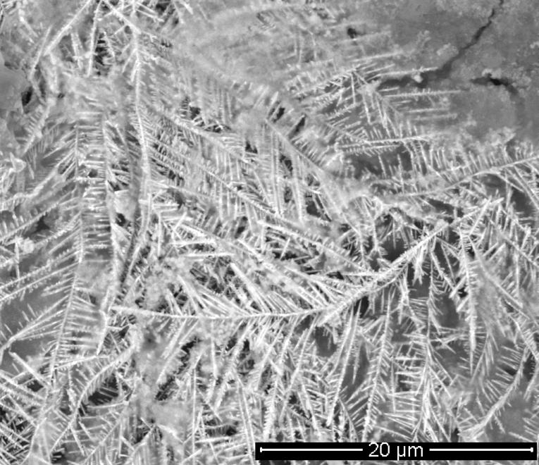 6. ábra. Sn63Pb37 forraszból kialakult dendritek 1 mm-os NaCl elektrolit esetén. 2.4.