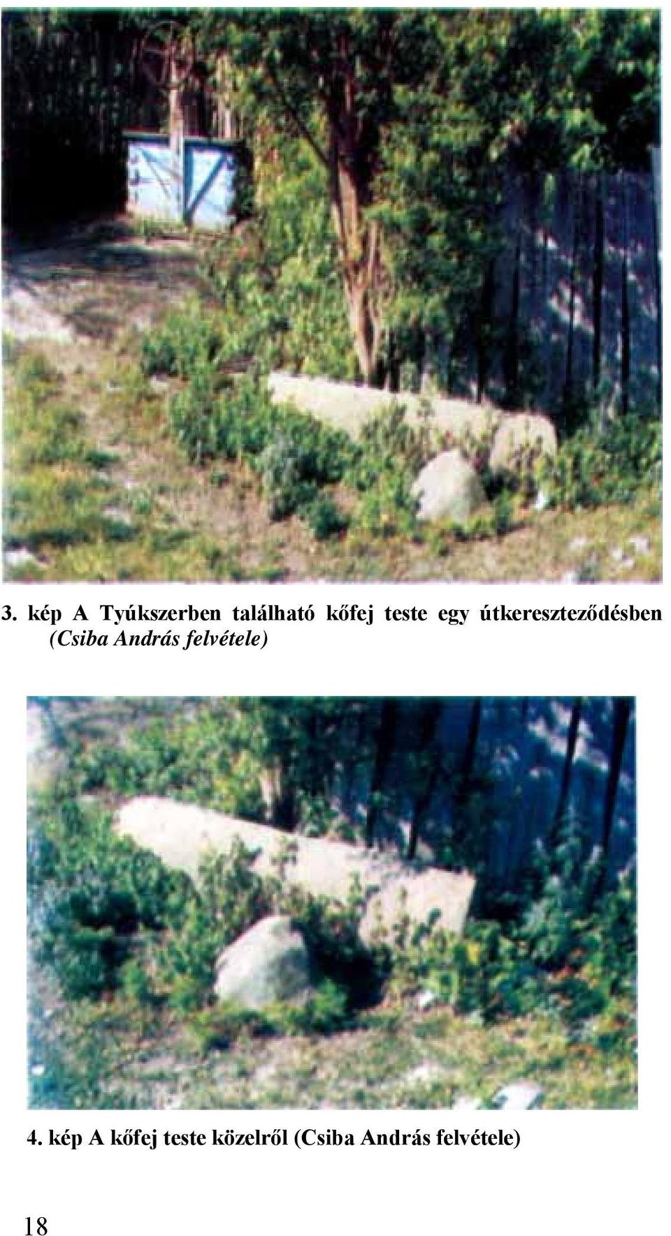 András felvétele) 4.