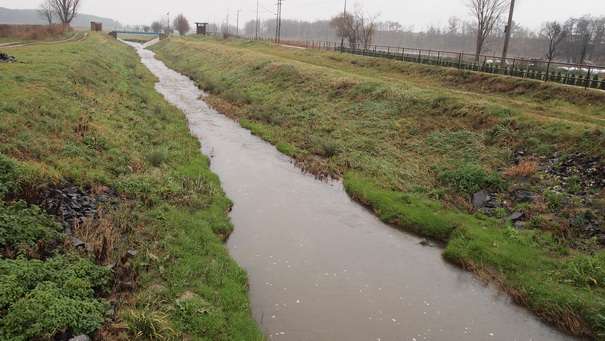 KOLONTÁR