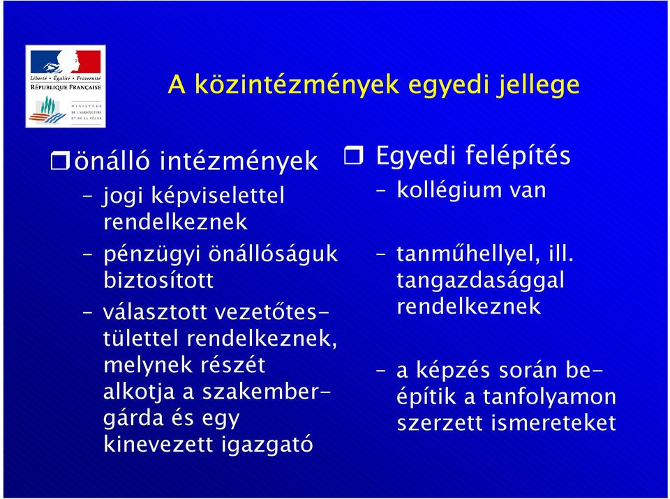 alkotja a szakembergárda és egy kinevezett igazgató Egyedi felépítés kollégium van
