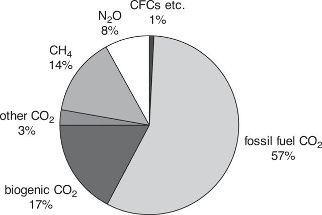 Antropogén hatás Energiatermelés és -felhasználás Antropogén eredetű üvegházhatású gázok megoszlása (2004) (globális teljes kibocsátás mennyiségét és az egyes gázok