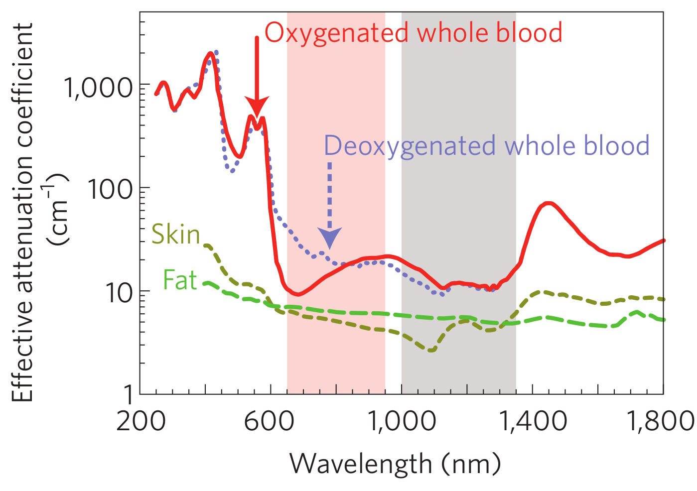 In vivo alkalmazás Smith et al.