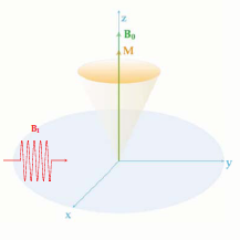 Rezonancia-feltételek az NMR spektroszkópiában Ha a megfelelő energiájú foton elnyelődik, akkor a két állapot között a magspin átbillen.
