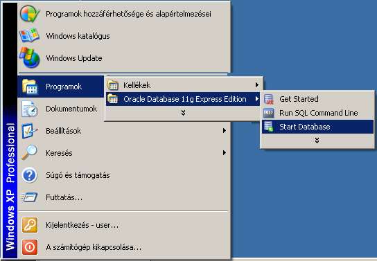 PHP Oracle