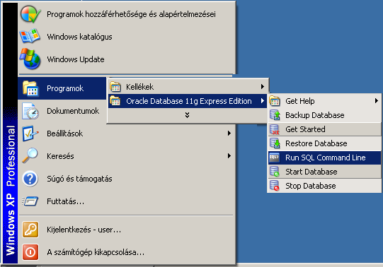 PHP Oracle
