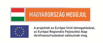 ÚTMUTATÓ A PÁLYÁZATI ADATLAP KITÖLTÉSÉHEZ KÖRNYEZET ÉS ENERGIA OPERATÍV PROGRAM Helyi hő és villamosenergia igény