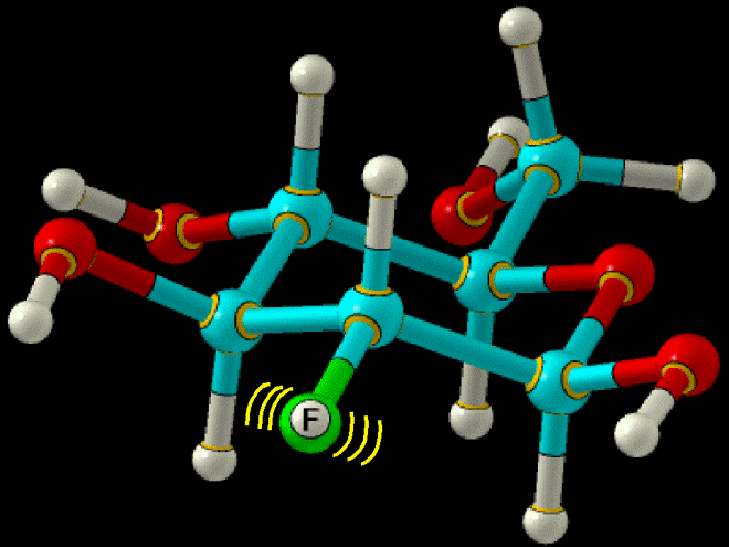 Pozitron ( + ) bomlás atommag 18 F-FDG