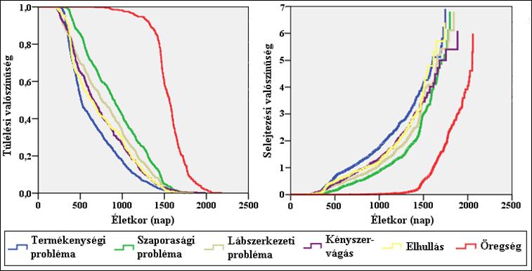 A legkisebb túlélési valószínűséggel a termékenységi problémák miatt leselejtezett egyedek rendelkeztek, hiszen ezek a problémák már a termelés korai szakaszában jelentkeztek.