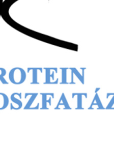 4. IRODALMI ÁTTEKIN NTÉS 4..1. Fehérjék reverzibilis foszforilációja A sejtek biokémiai folyamatainak, mint pl.
