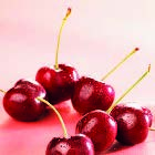 Cukrászipar AROMÁK, SŰRÍTMÉNYEK ADAGOLÁS KISZERELÉS CLASSIC MEGGY / CERISE Meggy sűrítmény tészták, krémek, töltelékek, fagylaltok ízesítésére 30-50 g / 1000 g 1 kg.