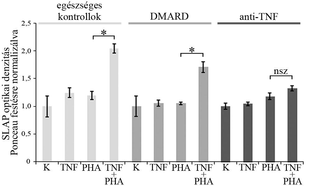 22. ábra: A TNF eltérően indukálja a SLAP expresszióját a terápiától függően.