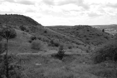 7. ábra: A Hegyes-kő geomorfológiai értékeinek genetikai osztályozás szerinti megoszlása, 2010 (%) 8. ábra: Krioplanációs falak 9.