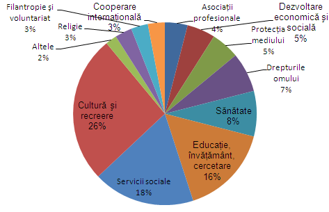 fundaţiilor de la 16181 în 2008 la 16956 în aprilie 2010), în toate domeniile, chiar dacă un număr semnificativ nu sunt active sau sunt active sporadic, indică existenţa unor resurse importante care