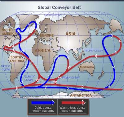 Globális óceáni szállítószalag termohalin cirkuláció Szubpoláris eredetű (hideg, sós) víz lesüllyedése hajtja.