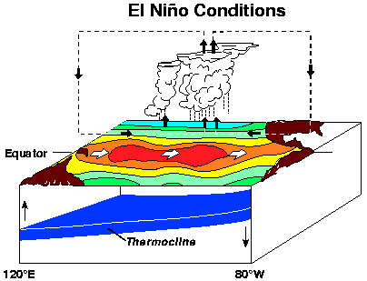 El Niño A szél Indonézia felől fúj Dél-Amerika felé nincs feláramlás. Itt nedves viszonyok uralkodnak, míg a medence másik oldalán szárazak (erdőtüzek). Peruban kevesebb hal, bővebb termés.