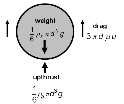 Ülepítéses technikák (szedimentációs analízis) Stokes törvény: u ( s a ) g d 18 m 2 d 18 m u ( ) g s a Lamináris áramlás esetén részecskék ülepedése véletlenszerű