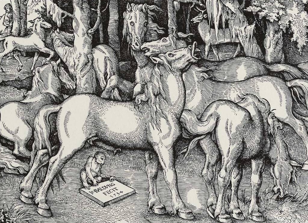 Hans Baldung Grien