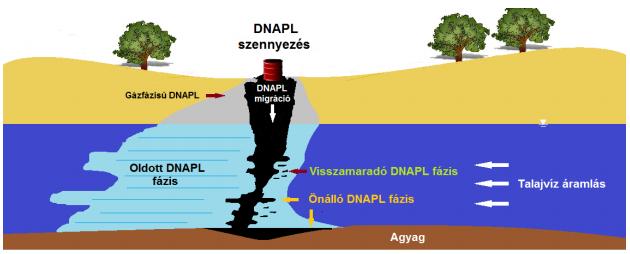 Talaj és felszín alatti vizek szennyezése A klórozott szénhidrogének a DNAPL (Dense non-aqueous phase liquid -víznél sűrűbb, nem vízfázisú folyadék) vegyületek közé tartoznak.