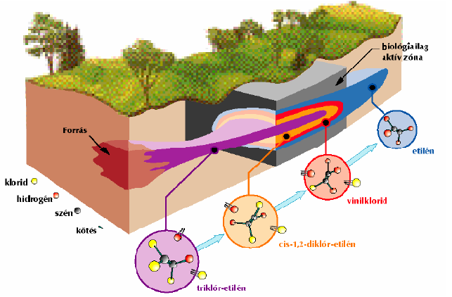 Biobarrier technológia Biológiailag aktív falat létesítenek a szennyezett talajövezetben, merőlegesen a talajvíz áramlási irányára Anyagát tekintve : homok és komposzt, szalma,