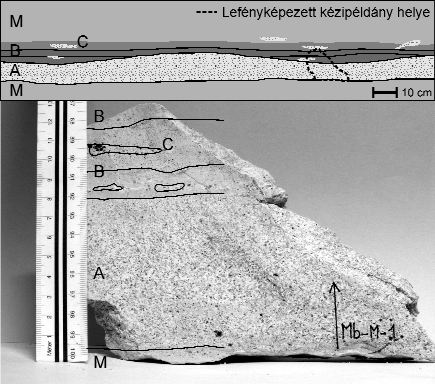 244 BIRÓ Tamás et al.: A budai Mátyás-hegy bryozoás márga összletébe települt vulkanogén képződmény kőzettani-vulkanológiai vizsgálata 3. ábra.