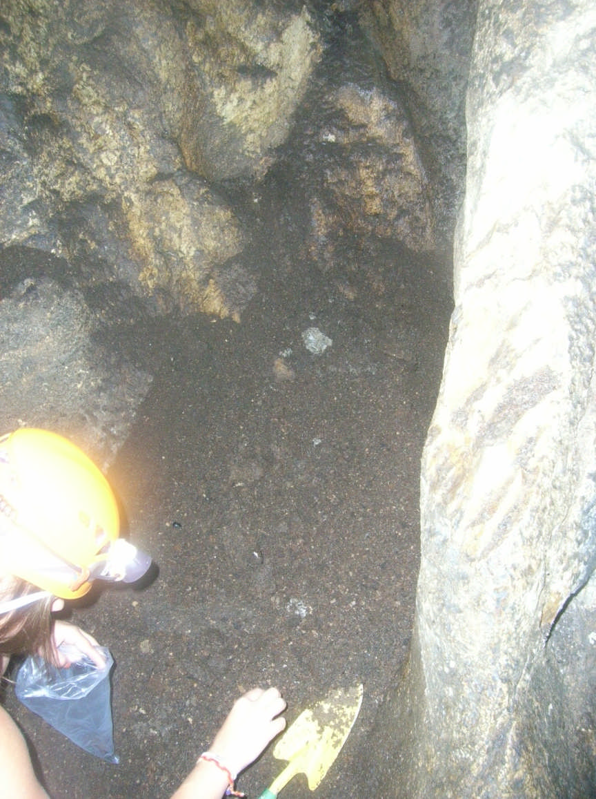 9. ábra: Mintavétel a Kecske-lyukban (Fotó: Kovács, 8) A Létrási-vizes-barlang Felső-labirintus ágában sajnos nagyobb mennyiségű guanó nem tud felhalmozódni, mert ez a járat a barlangászok által