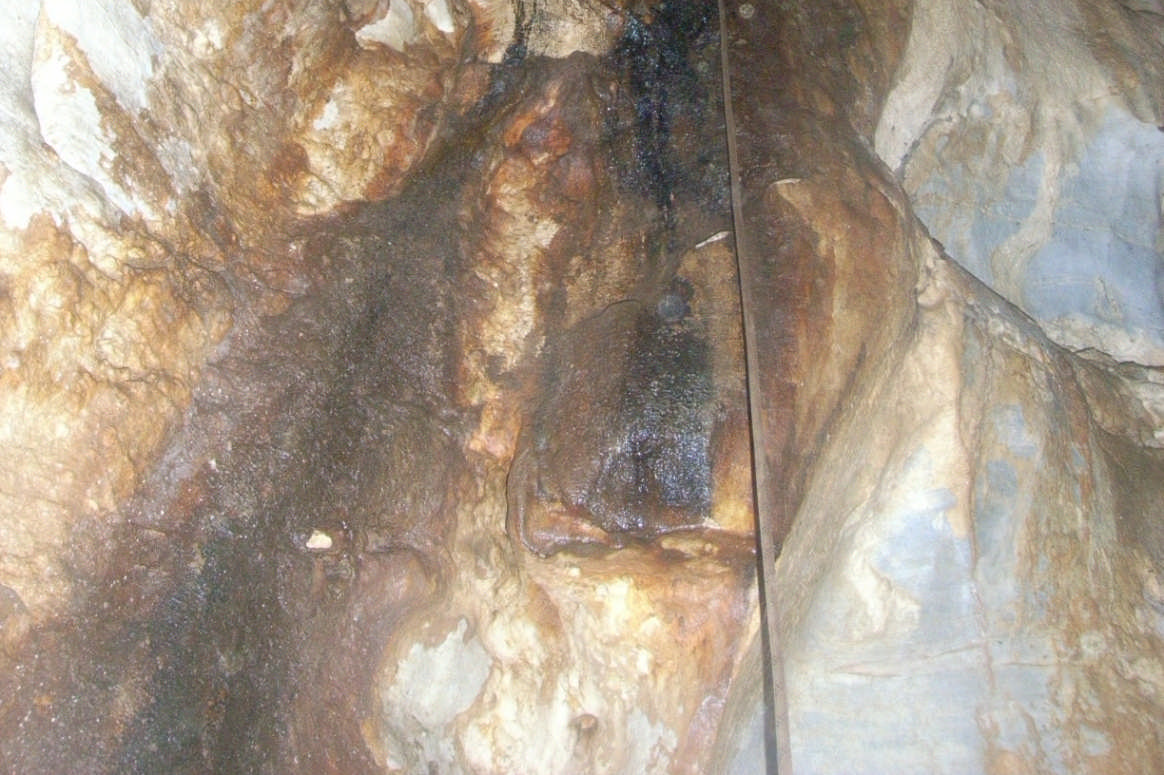 . ábra: A Létrási-vizes-barlang Kürtőjében található guanó-bekérgezés (Fotó: Kovács, 8) A 8-ból 5 mintát vizsgáltam meg, mert a többi szerves anyagnak, vagy mészkőnek bizonyult.