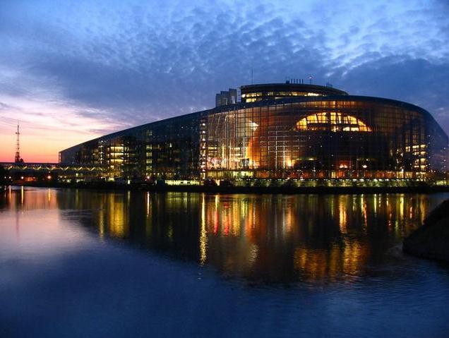 Forró ősz az Európai Parlamentben A Policy Solutions elemzése a
