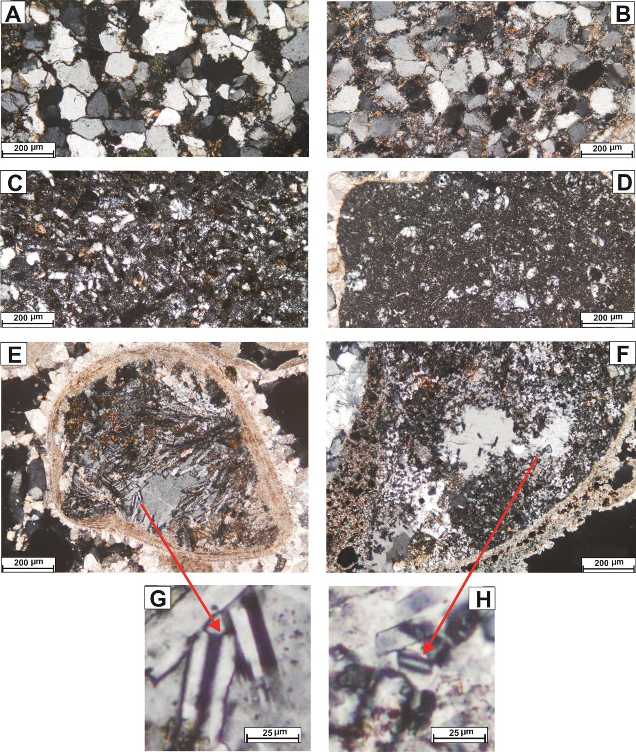 6. ábra: A miocén és a dunai kavicsanyag petrográfiai jellegzetességei.