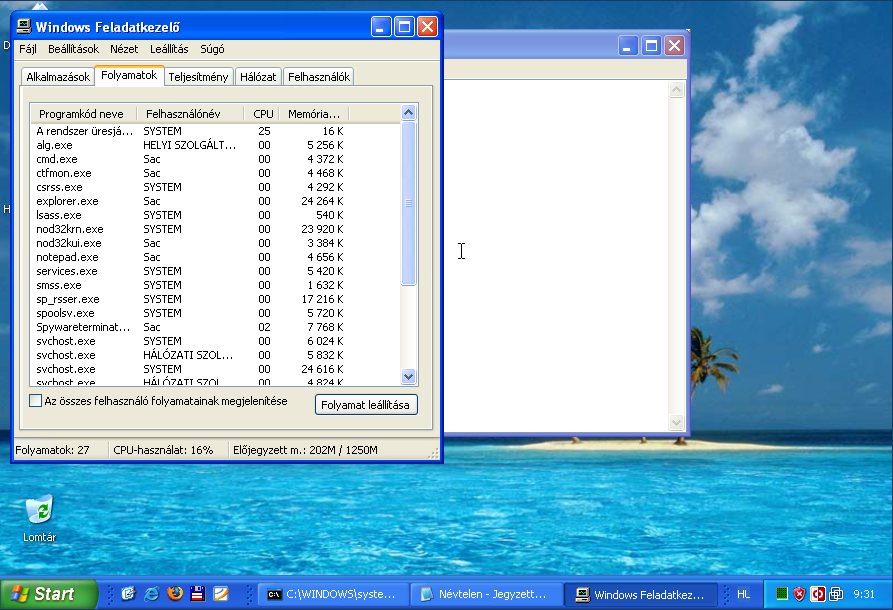 A Windows Feladatkezőben (Task Manager) a