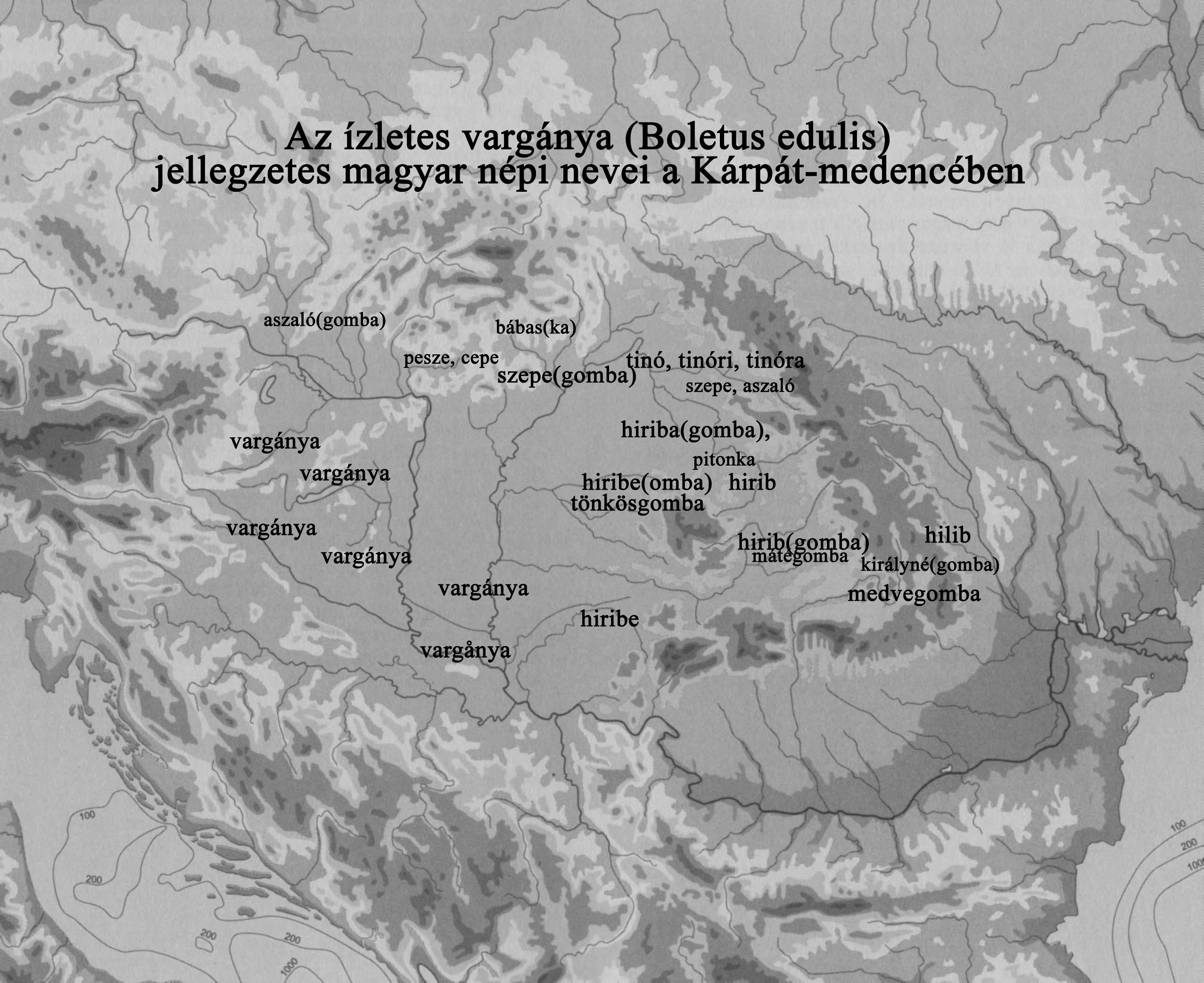 A vargánya 9 Vargánya tanya. Erdészház, tábor neve a Komló vidéki Zobákpusztán (Baranya m.). 45 Vargánya utca. Utca a Pest megyei Szentendrén. 46 Hilib: háromszéki falu (Kovászna m.