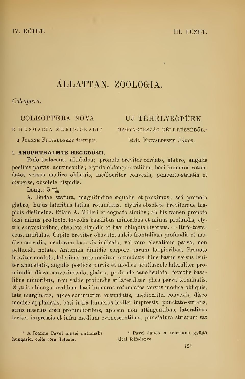 Rnfo-testaceus, nitidulus; pronoto breviter cordato, glabro, anguhs posticis parvis, acutiusculis ; elytris oblongo-ovalibus, basi hiimeros rotundatos versus modice obliquis, mediocriter convexis,