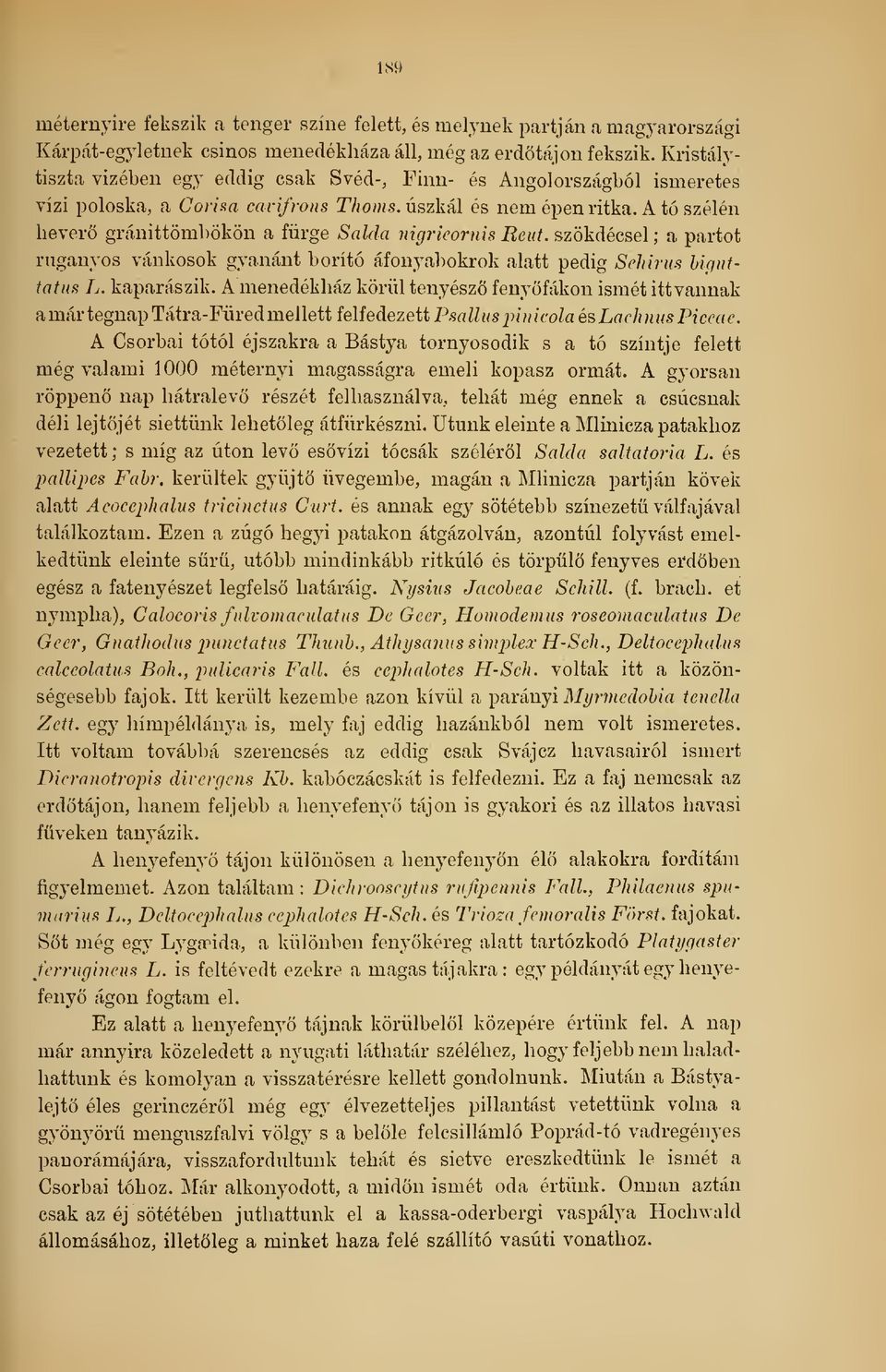 A tó szélén hever gránittömbökön a fürge Salda nigricornis Reut, szökdécsel ; a partot ruganyos vánkosok gyanánt borító áfonyabokrok alatt pedig Schirus hiqiittatiis L. kaparászik.