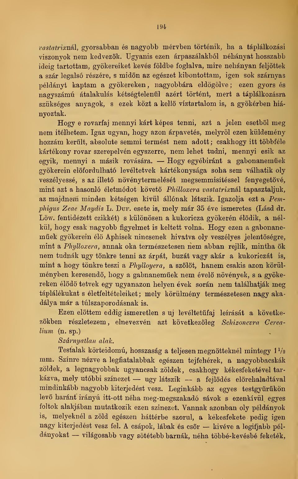 példányt kaptam a gyökereken, nagyobbára eldögölve ; ezen gyors és nagyszámú átalakulás kétségtelenül azért történt, mert a táplálkozásra szükséges anyagok, s ezek közt a kell víztartalom is, a