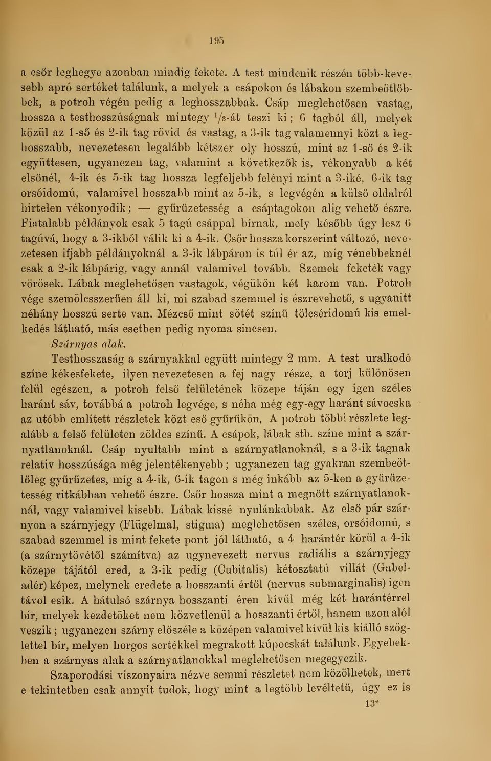 legalább kétszer oly hosszú, mint az 1-s és 2-ik együttesen, ugyanezen tag, valamint a következk is, vékonyabb a két elsnél, 4-ik és 5-ik tag hossza legfeljebb felényi mint a 3-iké, G-ik tag