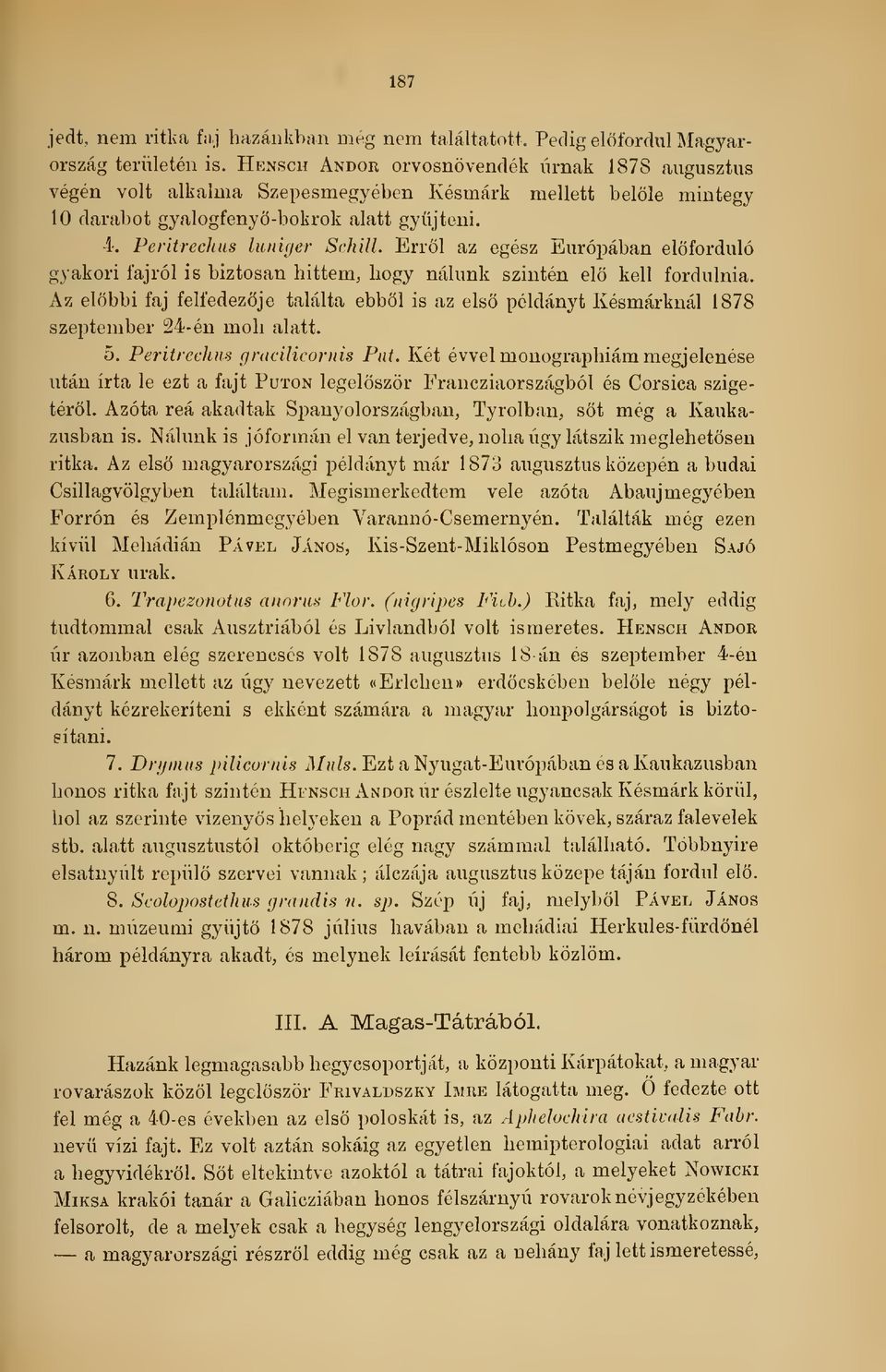 4. Peritrechus Inniger Schill. Errl az egész Európában elforduló gyakori fajról is biztosan hittem, hogy nálunk szintén el kell fordulnia.